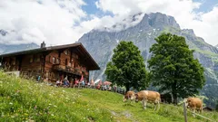 W tych krajach turyści są przyjmowani z otwartymi ramionami: podróżowanie bez stresu