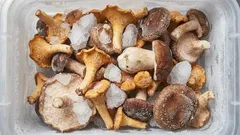 Jak prawidłowo przechowywać grzyby w zamrażarce: mrożenie bez rozczarowań — porady ekspertów