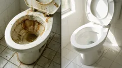 Sekret gospodyń domowych: jak wyczyścić toaletę bez zbędnego wysiłku